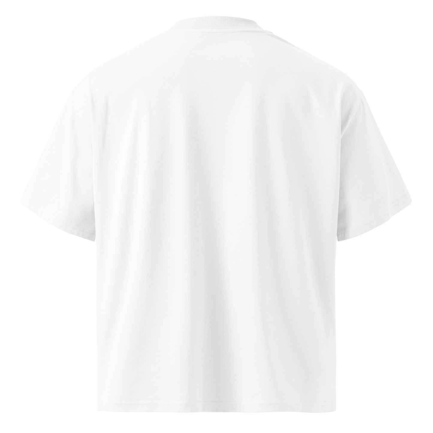 Watch Me Shine Organic Oversized T-shirt